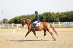 SBM_002369