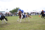 SBM_10019