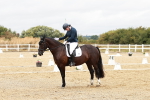 SBM_003731