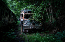 Trolley Graveyard | Empty Sockets