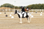 SBM_002723