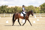 SBM_004202