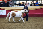 SBM_14724