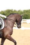 SBM_006320