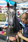 110725-Race 5-Mahras Love-0456