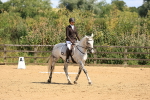 SBM_002239