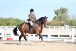 SBM_16875