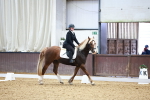 SBM_000202