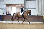 SBM_001538