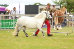 SBM_04357