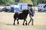 WJ6_4665