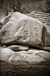 Egyptian Hieroglyphs
