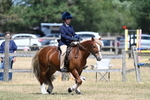 WJ7_3369