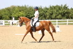 SBM_010070