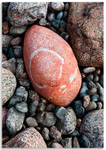 02142149 - Rock art, Petit Bot