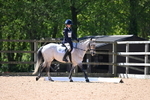 WJ6_9101