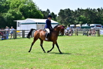 SBM_03787