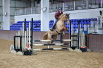 SBM_002657