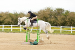 SBM_005553