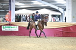 SBM_08271