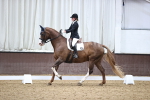 SBM_02310
