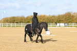 SBM_001073
