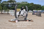 BPP_8347