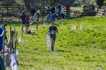 The Finish-2064