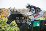 Guernsey Race Club Horse Racing 2018-23