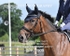 BPP_7109