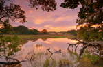 z2141 Lakeside View, Firestone Copse