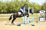 SBM_000732