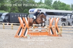 BPP_1585