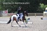 BPP_0668