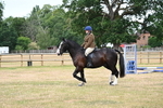 WJ6_3868