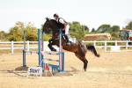 SBM_002769
