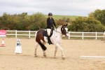 SBM_001462