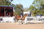 SBM_07849