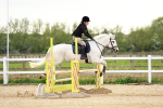 SBM_009486