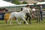 SBM_00506