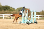 SBM_001254