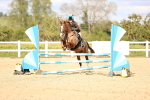 SBM_003683