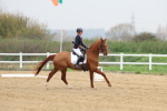 SBM_006617