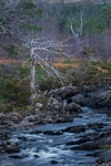 Torridon