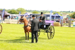 SBM_02645