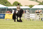 SBM_07117