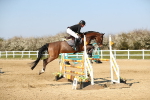 SBM_001213