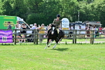 SBM_03832