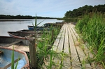 <center>Boardwalk</center>