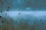 Last Leaves of Autumn